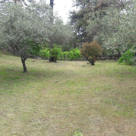 Villa Leo Glykadi Екстер'єр фото