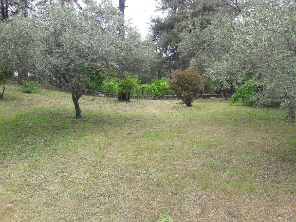Villa Leo Glykadi Екстер'єр фото