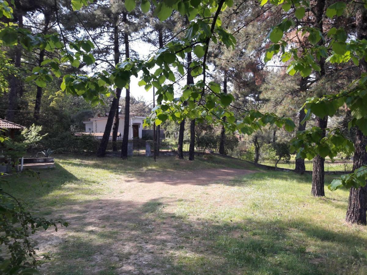 Villa Leo Glykadi Екстер'єр фото